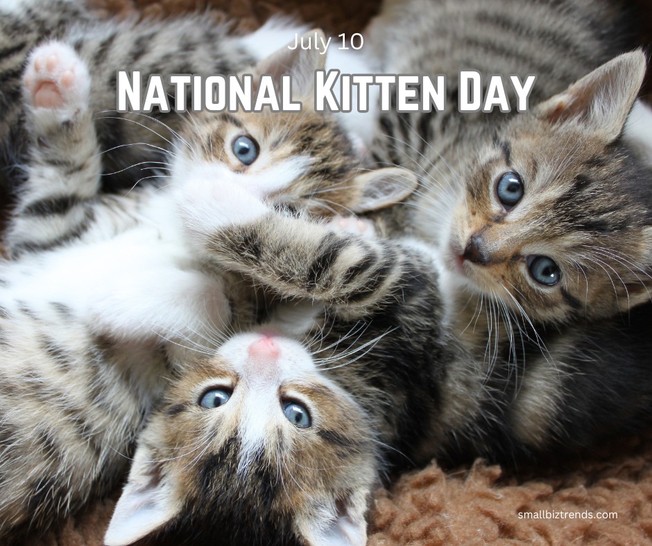 Housing activation and safe sites